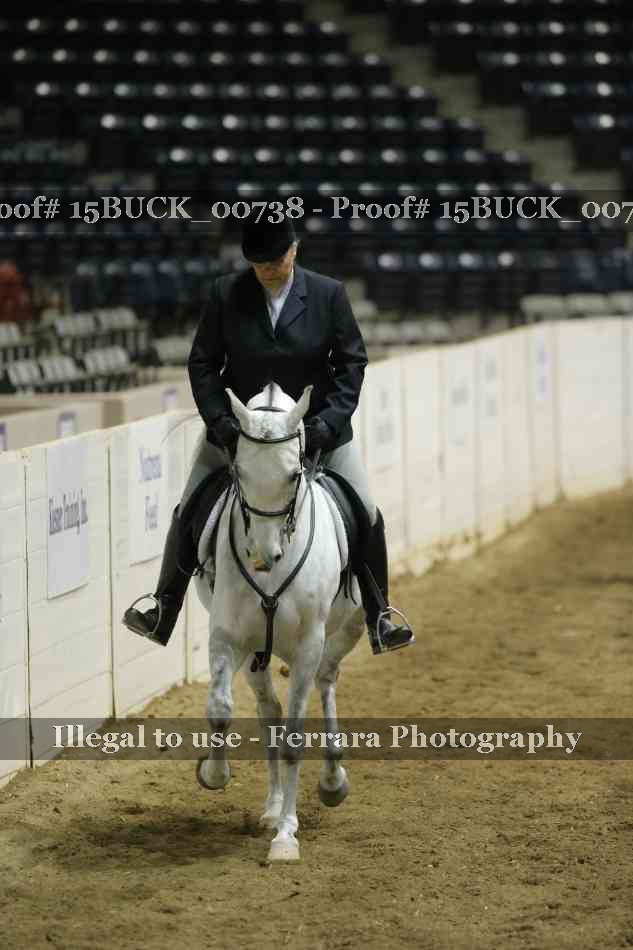 Proof 15BUCK_00738