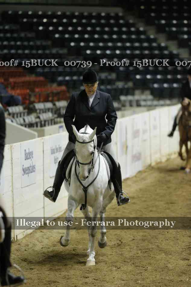 Proof 15BUCK_00739