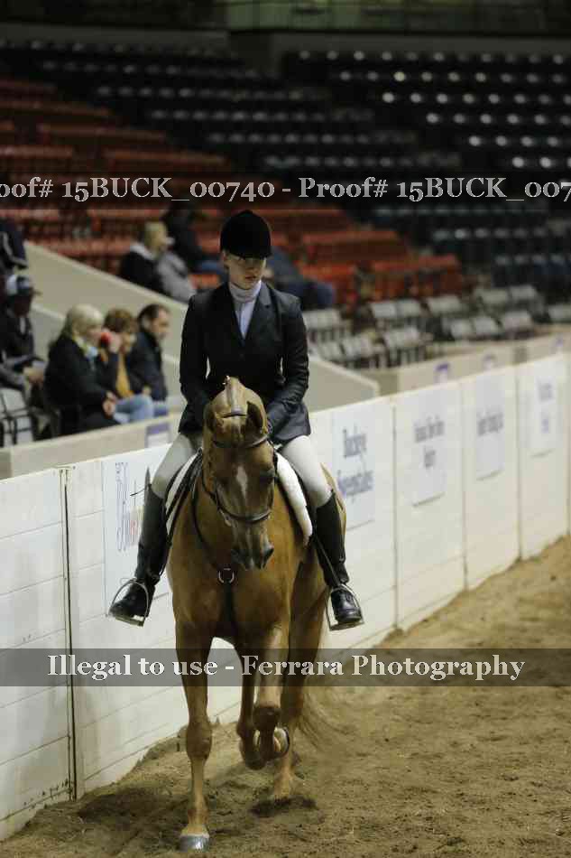 Proof 15BUCK_00740