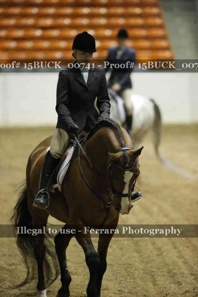 Proof 15BUCK_00741