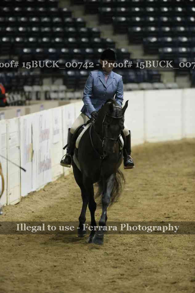 Proof 15BUCK_00742