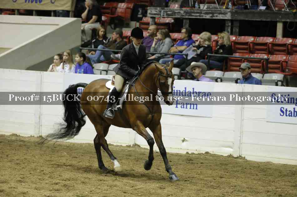 Proof 15BUCK_00743
