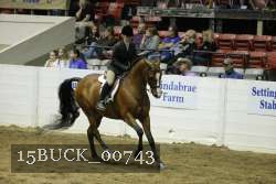 15BUCK_00743 proof