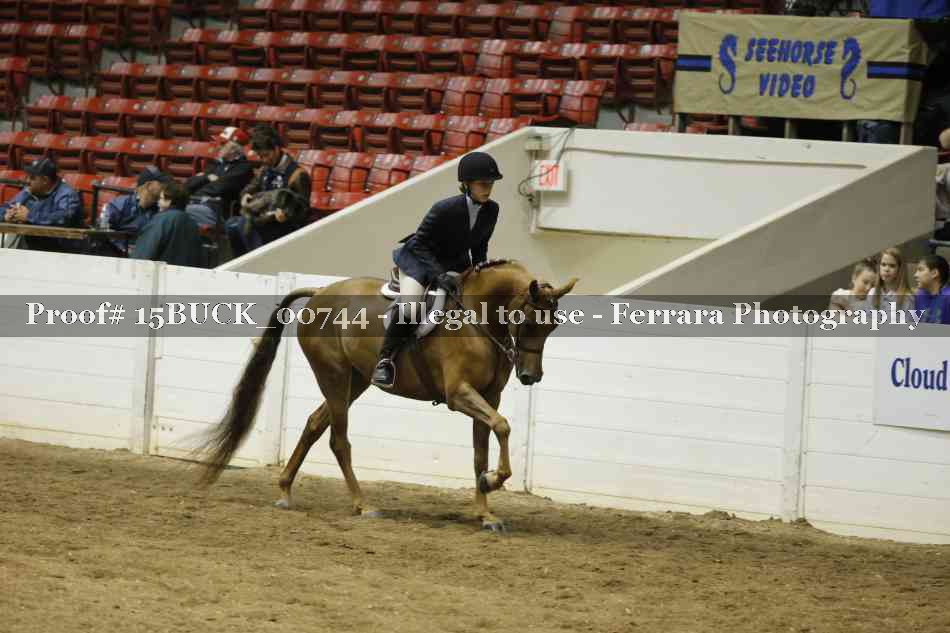 Proof 15BUCK_00744