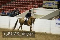 15BUCK_00744 proof
