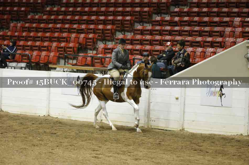 Proof 15BUCK_00745
