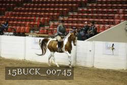 15BUCK_00745 proof