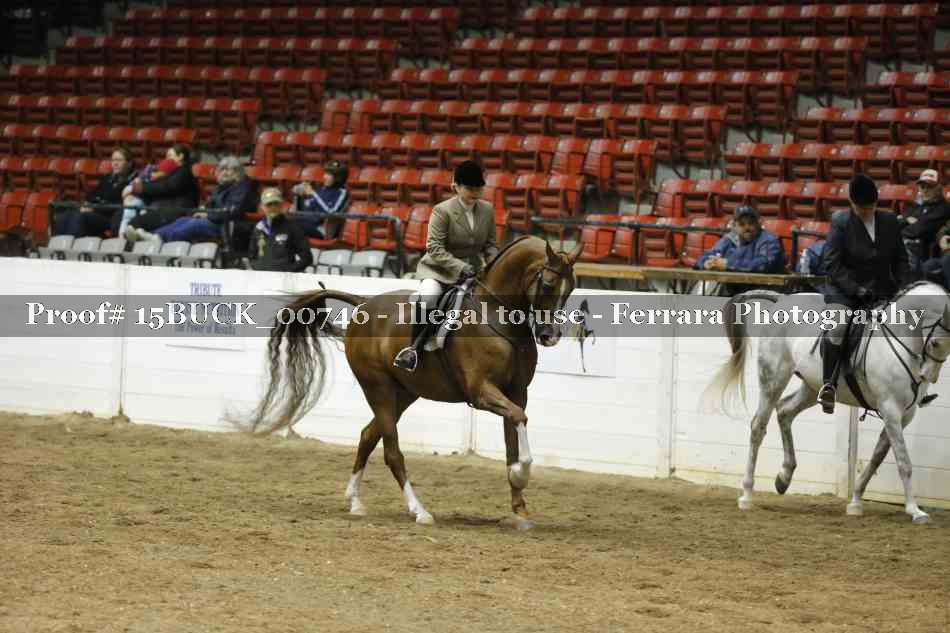Proof 15BUCK_00746