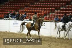 15BUCK_00746 proof