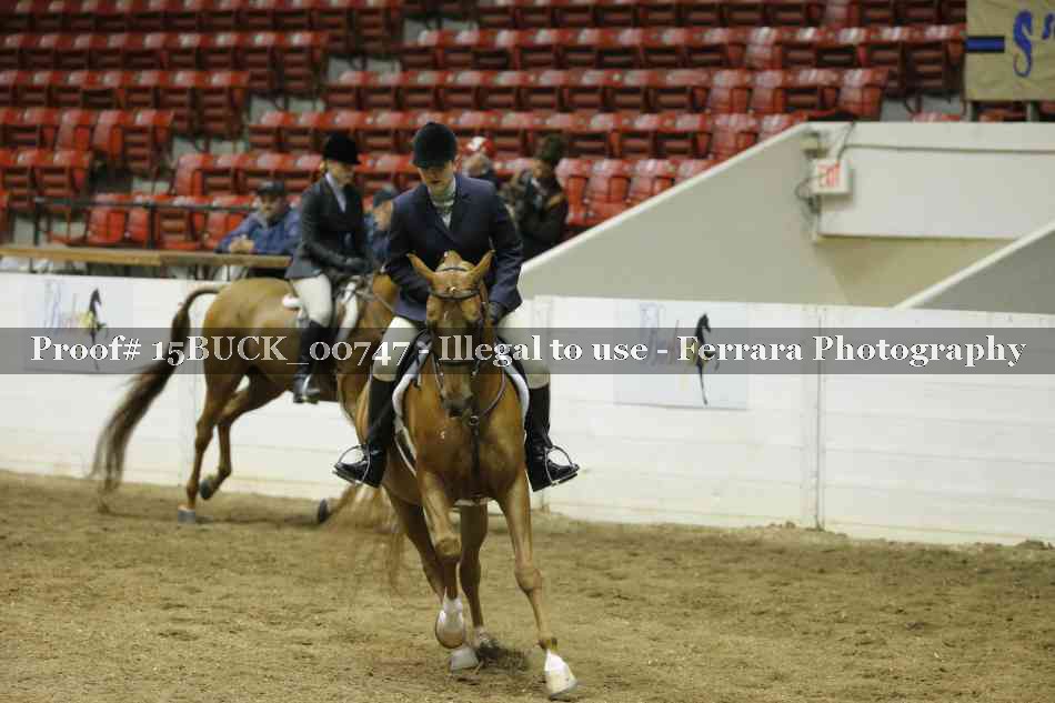 Proof 15BUCK_00747