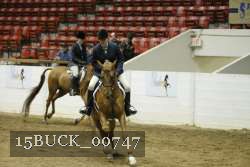 15BUCK_00747 proof