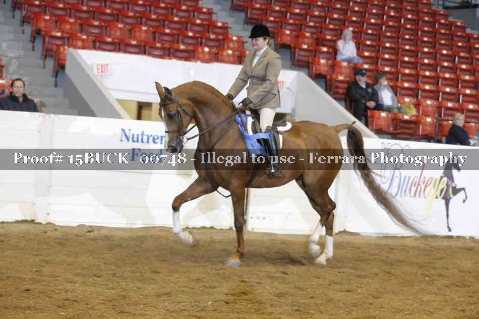 Proof 15BUCK_00748