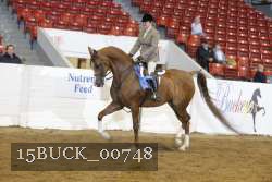 15BUCK_00748 proof