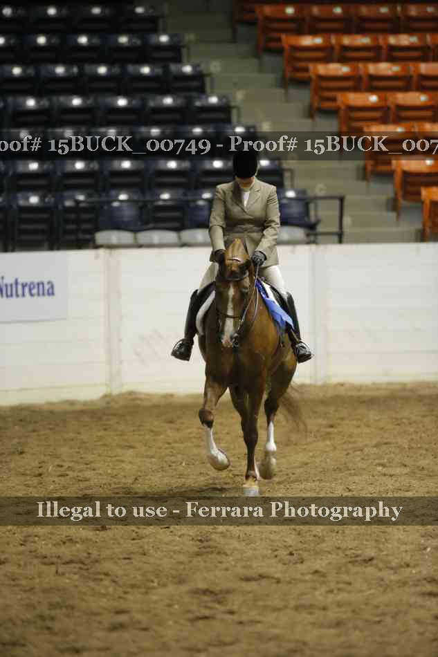 Proof 15BUCK_00749