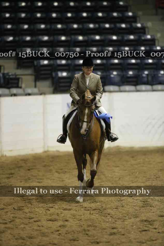 Proof 15BUCK_00750