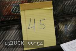 15BUCK_00754 proof