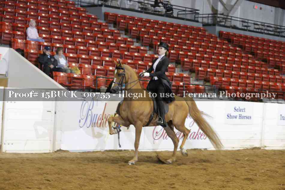 Proof 15BUCK_00755