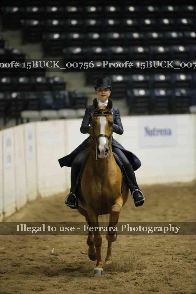 Proof 15BUCK_00756