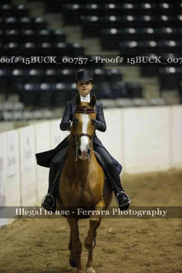 Proof 15BUCK_00757