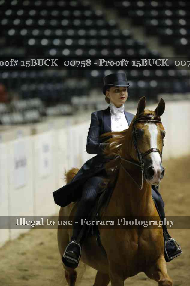 Proof 15BUCK_00758