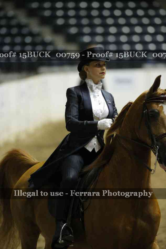 Proof 15BUCK_00759