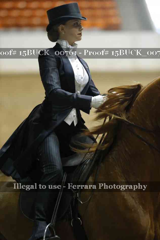 Proof 15BUCK_00761