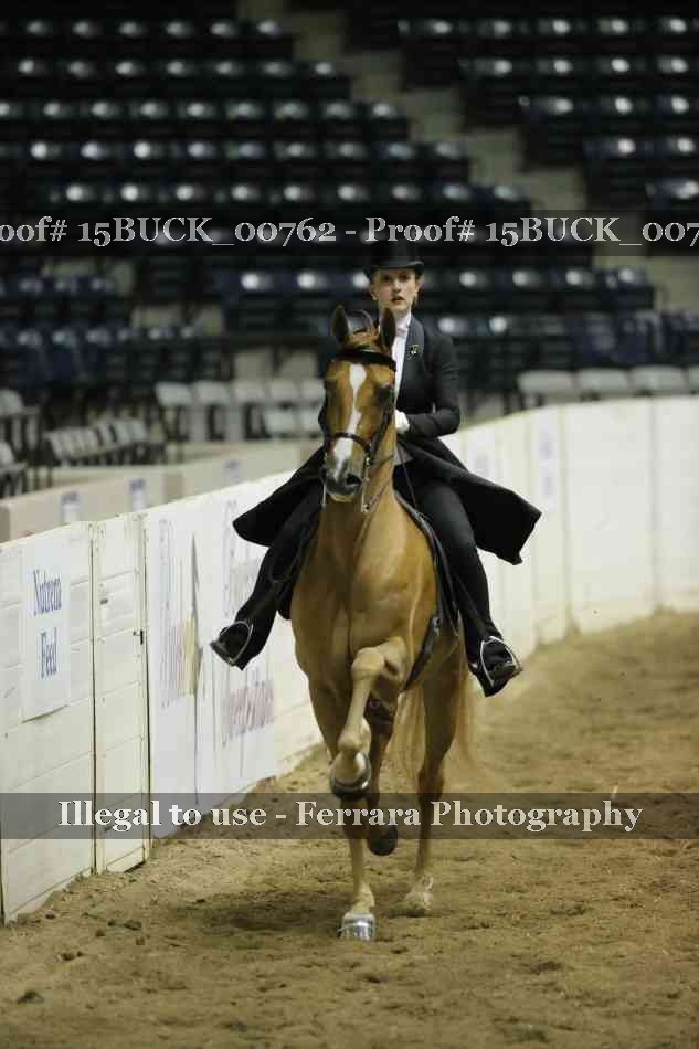 Proof 15BUCK_00762