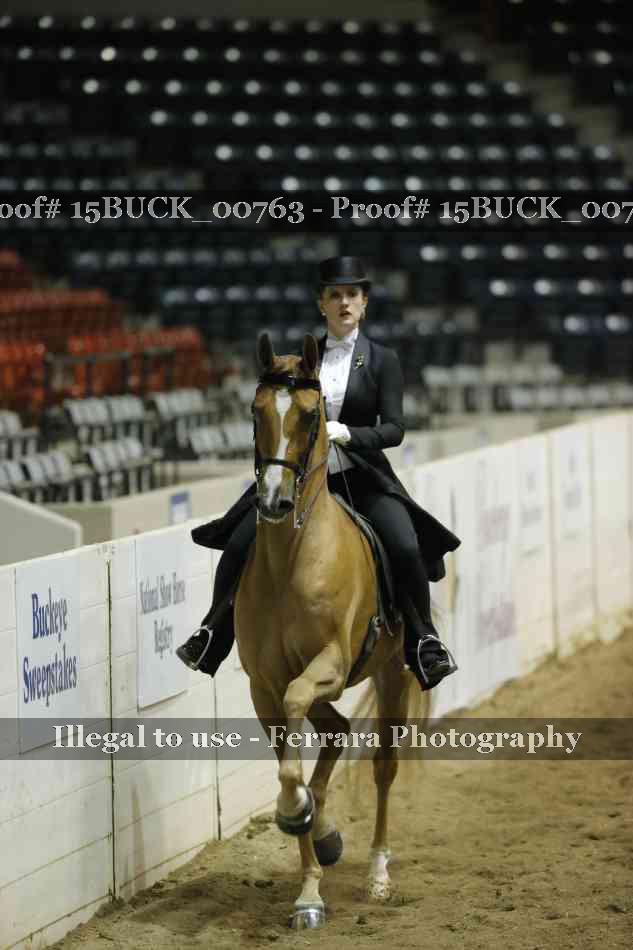 Proof 15BUCK_00763