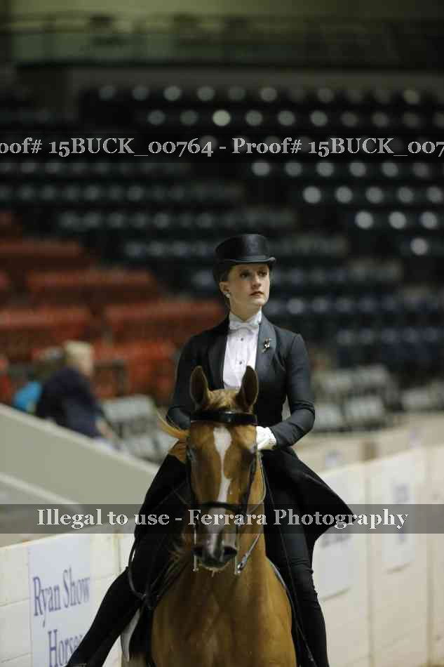 Proof 15BUCK_00764