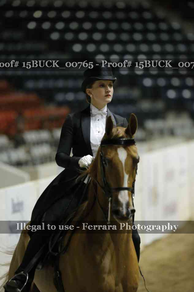 Proof 15BUCK_00765