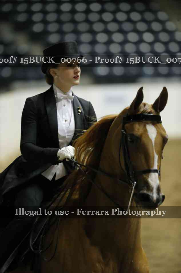 Proof 15BUCK_00766