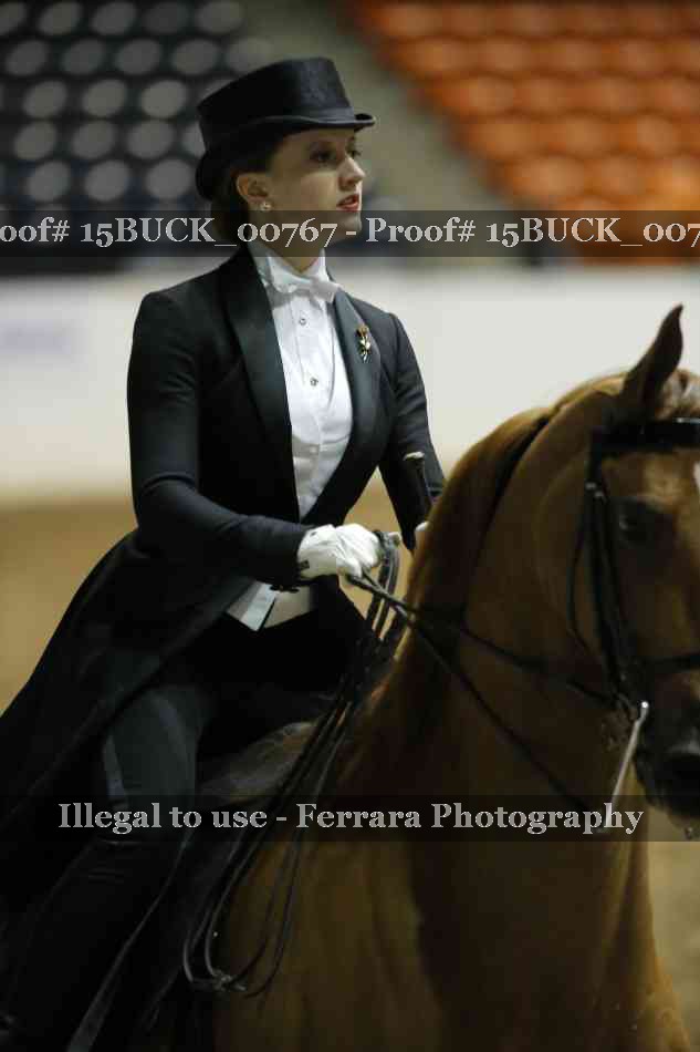 Proof 15BUCK_00767