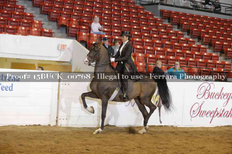 Proof 15BUCK_00768