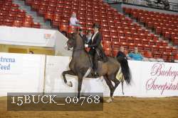 15BUCK_00768 proof