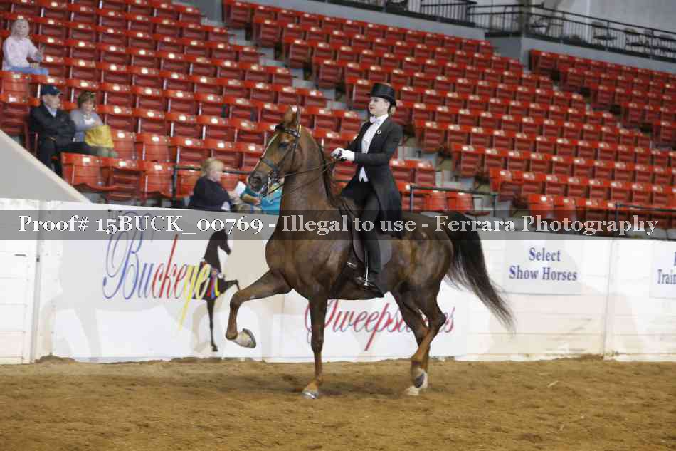 Proof 15BUCK_00769