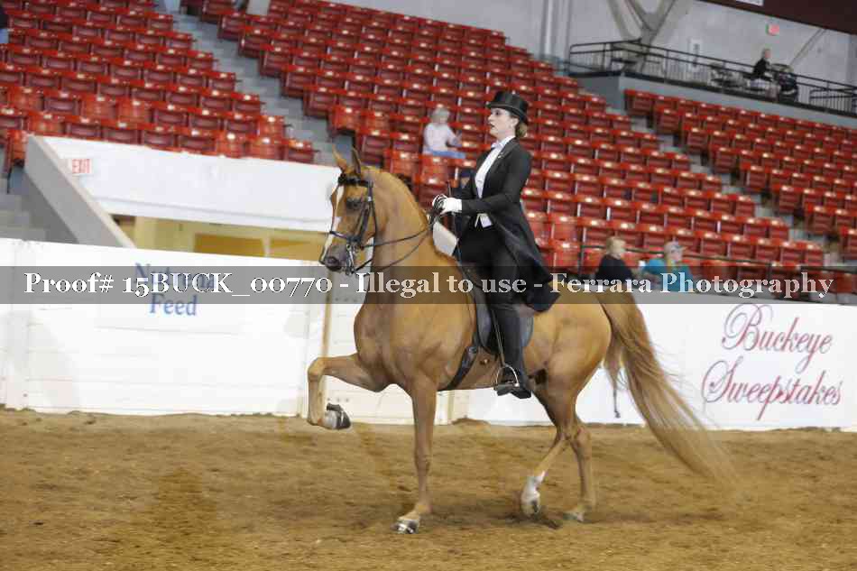 Proof 15BUCK_00770