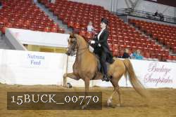 15BUCK_00770 proof