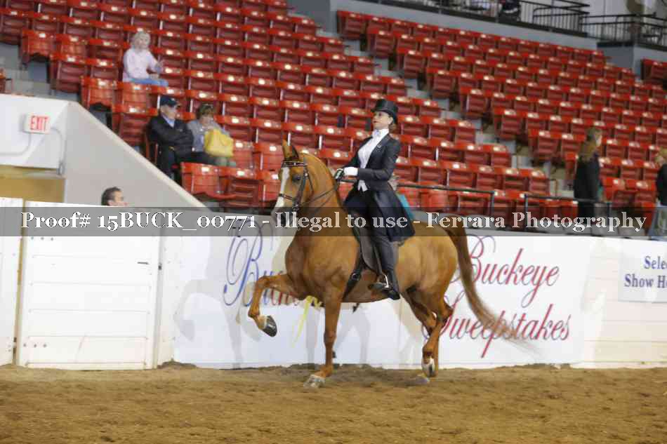 Proof 15BUCK_00771