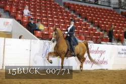 15BUCK_00771 proof