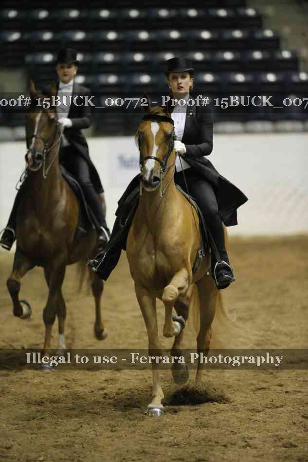 Proof 15BUCK_00772