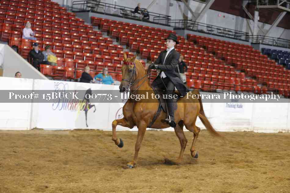 Proof 15BUCK_00773