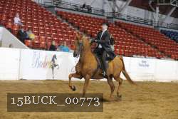 15BUCK_00773 proof
