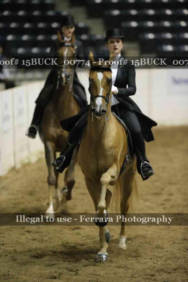 Proof 15BUCK_00774