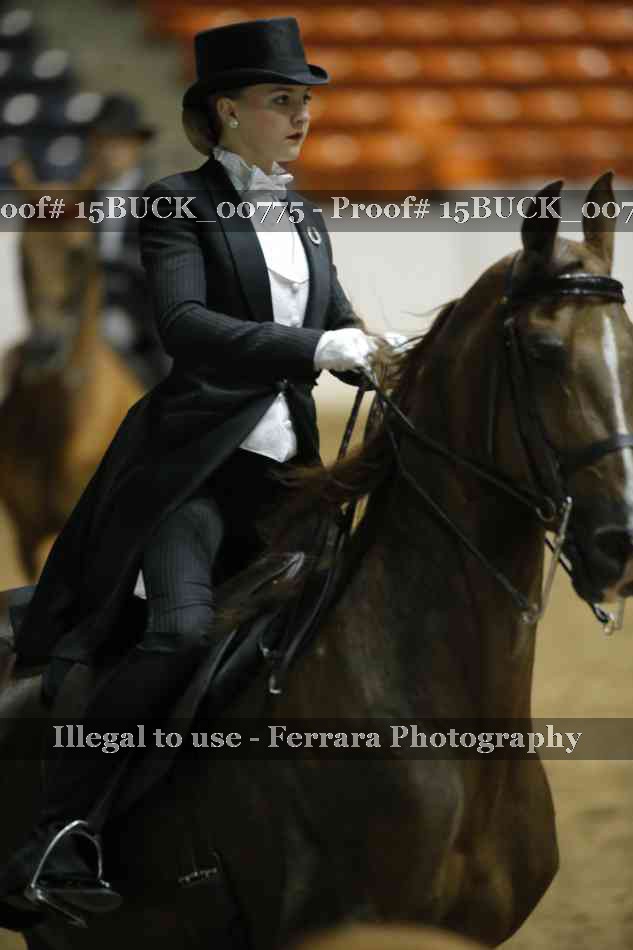 Proof 15BUCK_00775