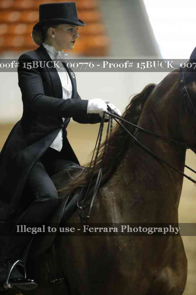 Proof 15BUCK_00776