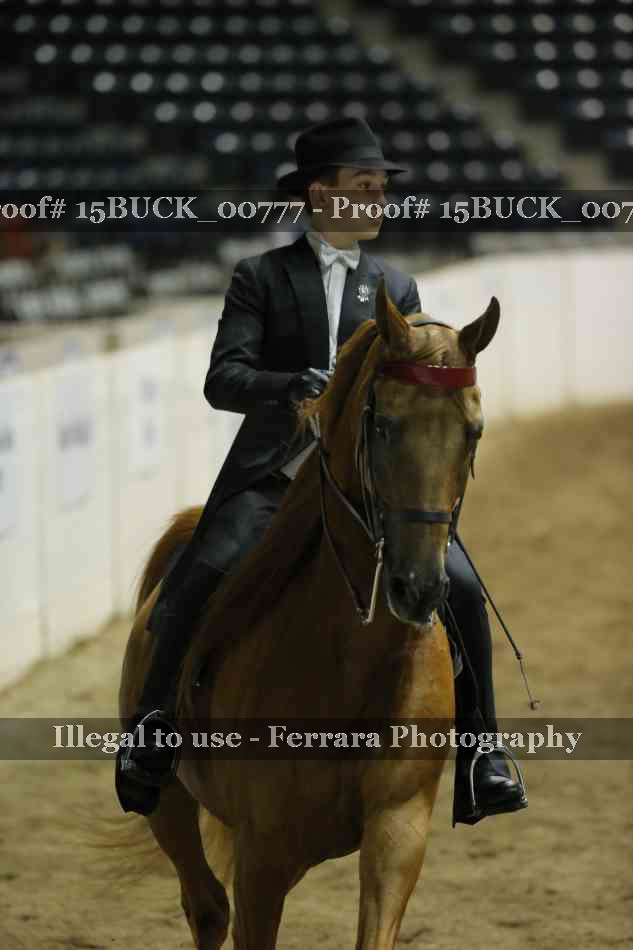 Proof 15BUCK_00777