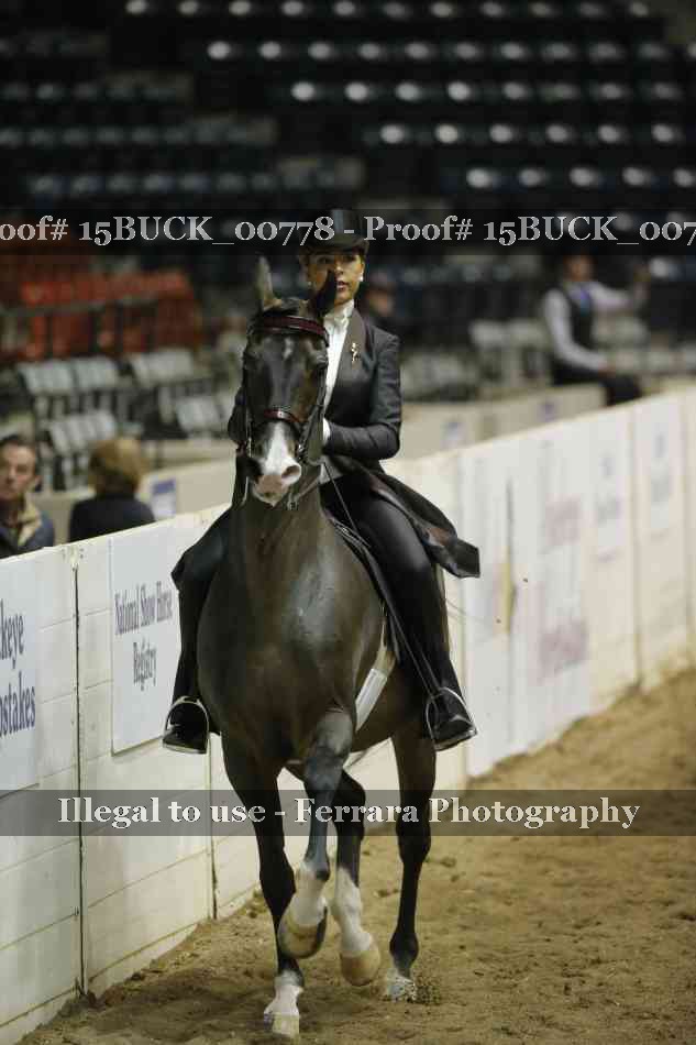 Proof 15BUCK_00778