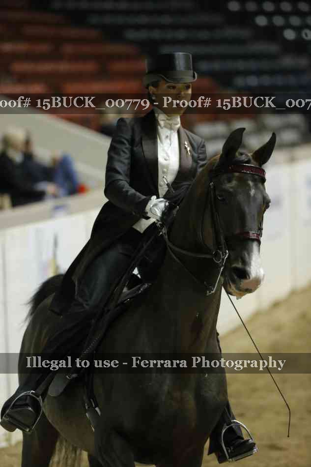 Proof 15BUCK_00779