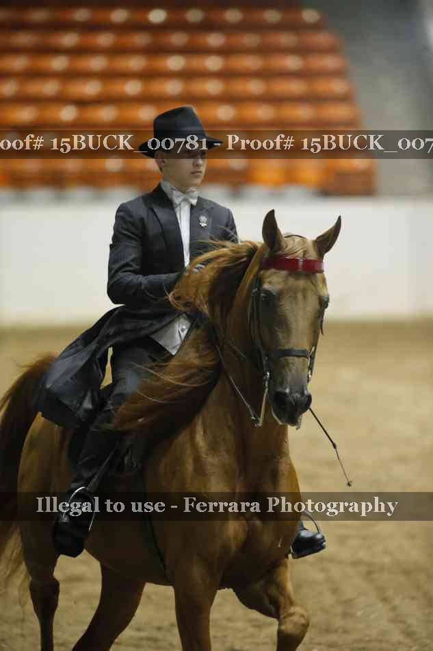 Proof 15BUCK_00781