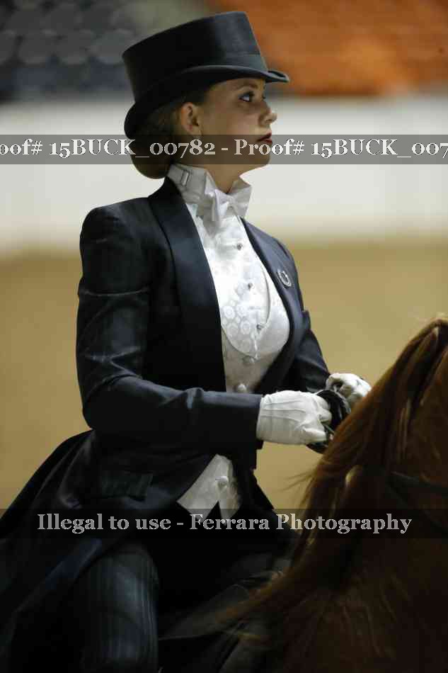 Proof 15BUCK_00782